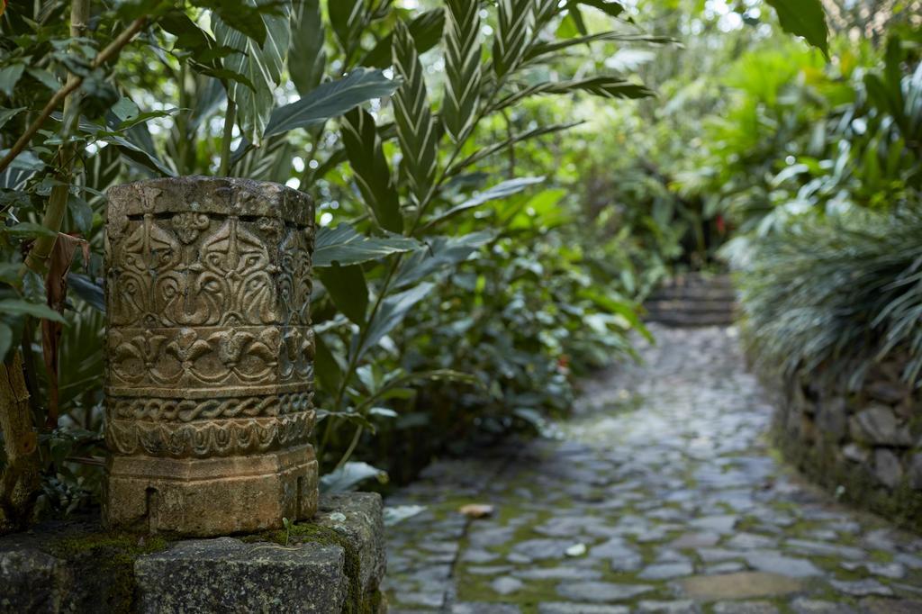 Bamboo Villa Kandy Digana Exteriör bild