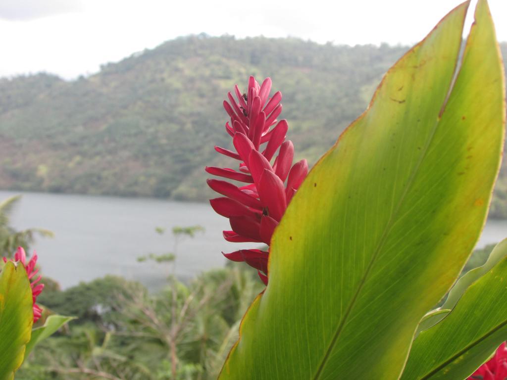 Bamboo Villa Kandy Digana Exteriör bild